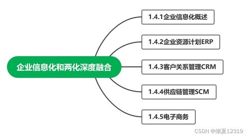 系統(tǒng)集成項(xiàng)目管理工程師 第1章 信息化知識(shí)——企業(yè)信息化工程要點(diǎn)解析